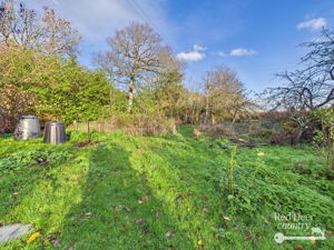 Garden- click for photo gallery